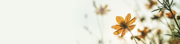 Enabling
independence,
comfortably.