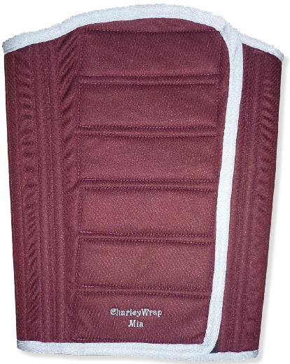 CharleyWrap